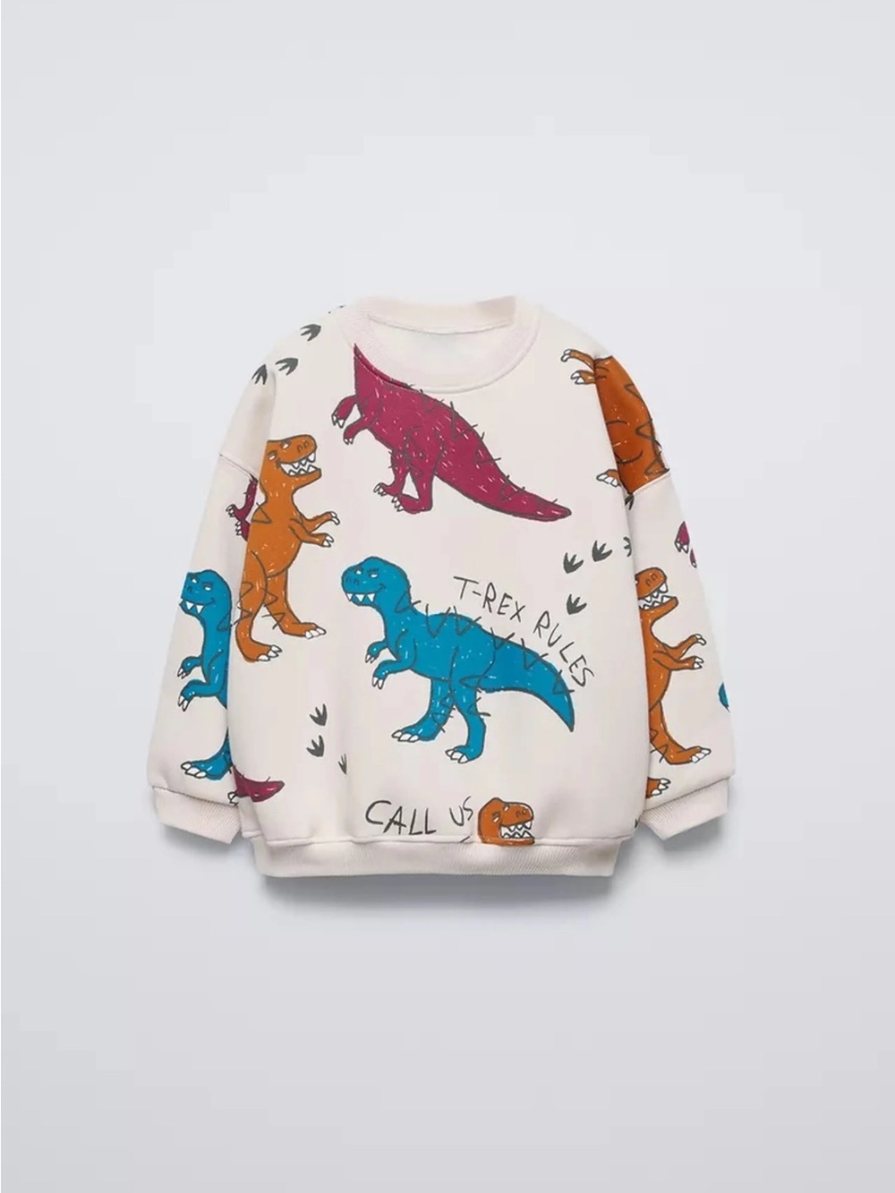 ZARA Kid Boys Dinosaur Print Graphic Crewneck Sweatshirt T-Rex